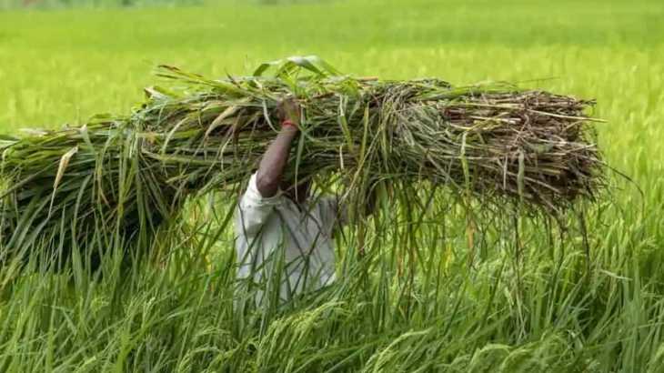 Lodge The Grievance If You Find Your Name Missing From PM KISAN Beneficiary List